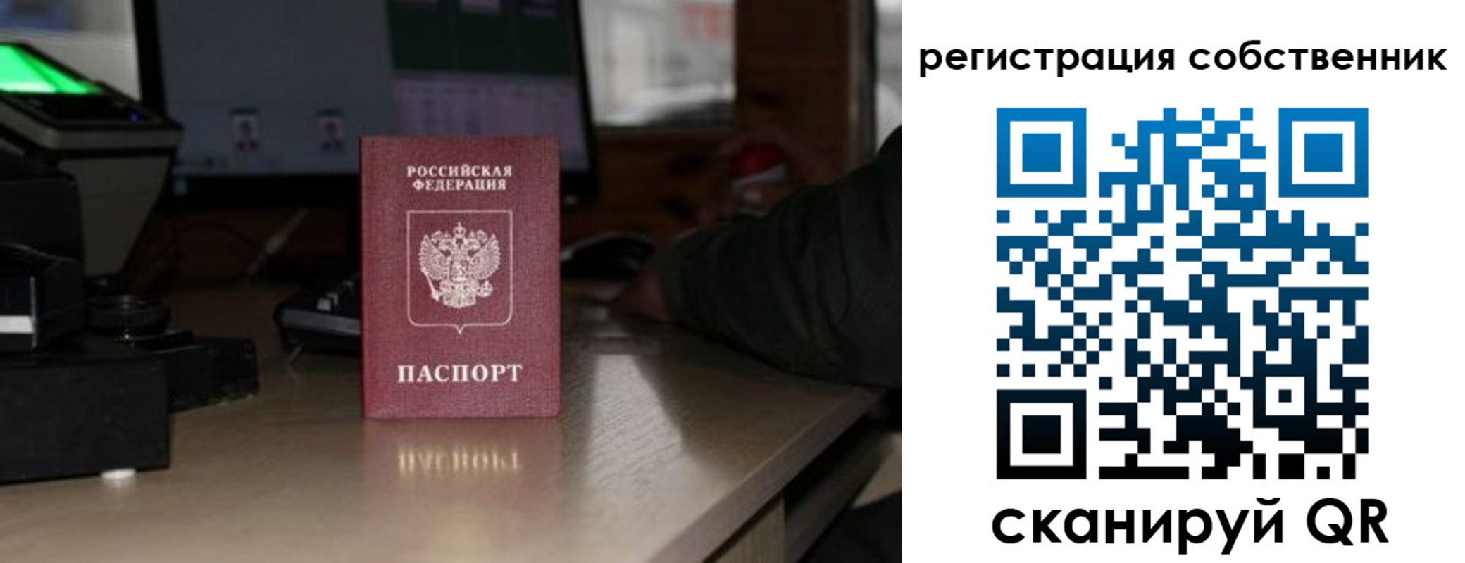 прописка поиск в Зверево